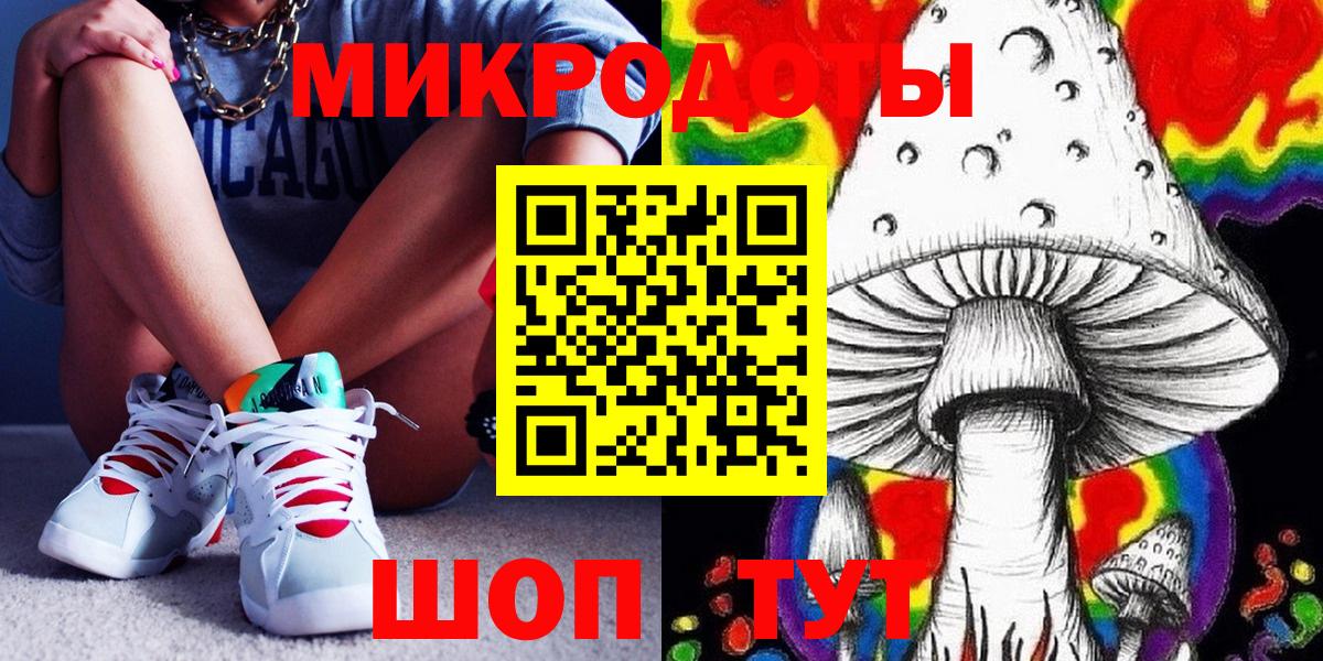 Псилоцибиновые грибы Psilocybine cubensis Минеральные Воды